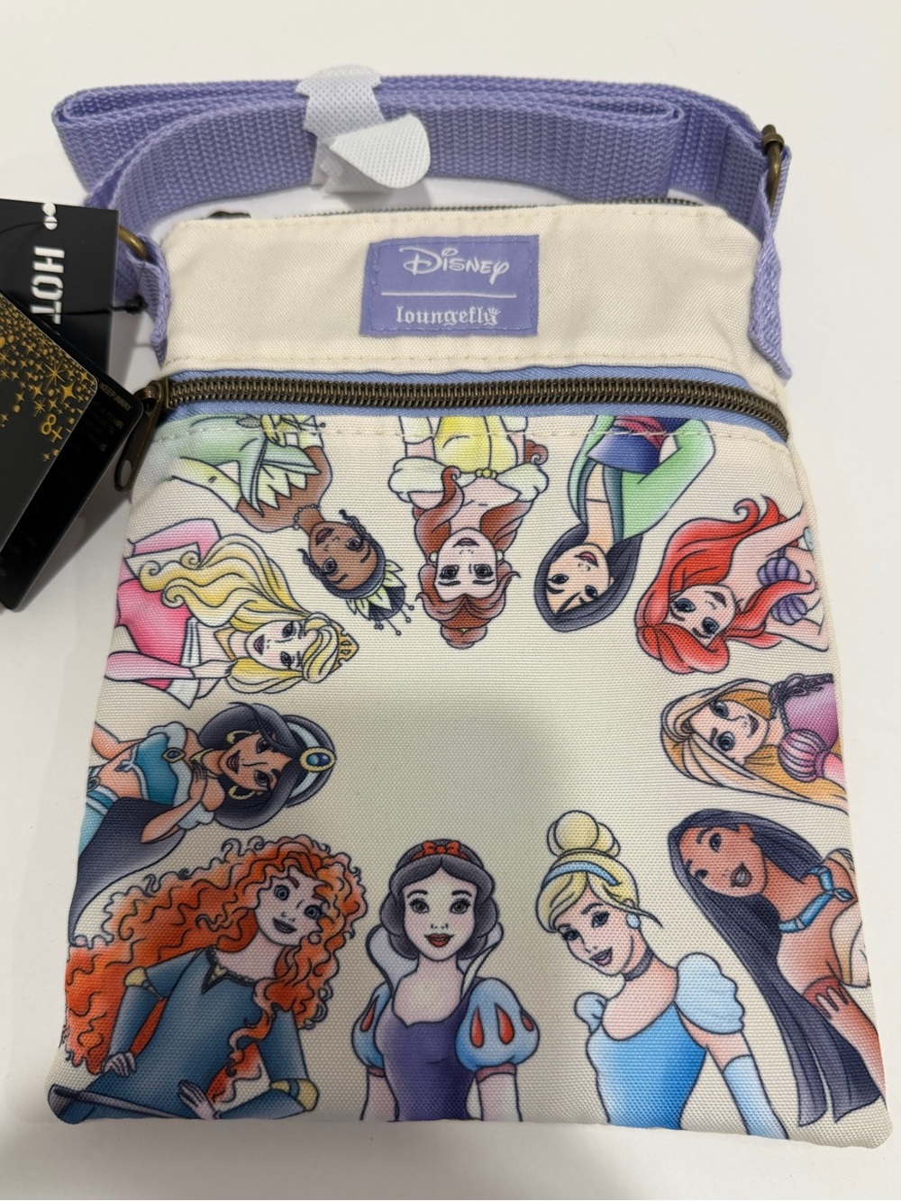 NWT Loungefly Disney Princess Group Passport Crossbody Bag
